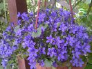 20140520_133606