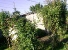 Photo2672
