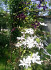Photo2677