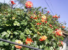 Photo2681