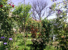 Photo2683