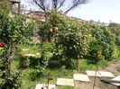 Photo2691