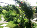 Photo2692