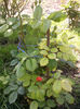 Photo2693