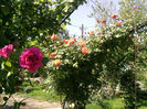 Photo2694