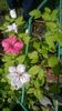 WP_20140511_002