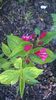WP_20140511_007