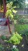 WP_20140511_019