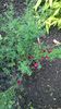 WP_20140511_020