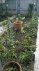 WP_20140511_024