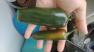 WP_20140520_008