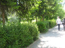 orasul Bistrita 077