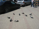 orasul Bistrita 084
