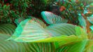 20140520_093501