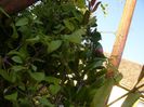 P1210712