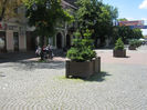 pietonal  Bistrita 005