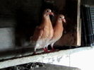 IMG_20140512_151846