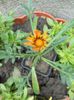 DSCN0484