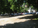 parcul din Piata Centrala 014