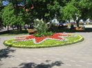 parcul din Piata Centrala 005