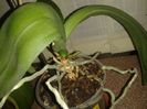 20140521_181830