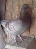 IMG_20140112_135334-1