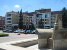 Piata Petru Rares 023