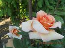 DSCN2849