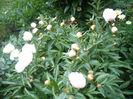 P1060780