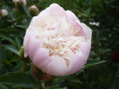P1060785
