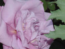 DSC02057