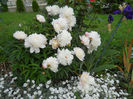 DSCN3438_001