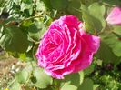 DSCN6043