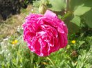 DSCN6044