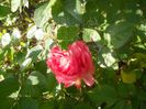 DSCN6078