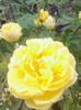 IMG_20140521_181625