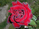 DSCN8647