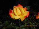 DSCN8651