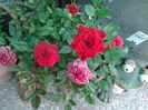20140522_095425