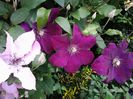 20140522_094824