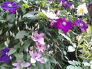 20140522_094756