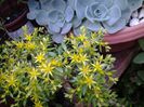 20140522_185302