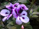 20140522_185034