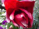 20140522_184954