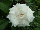 SAM_5757