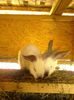 IMG_20140522_103949