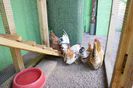 DSC02551