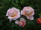 abraham darby
