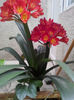IMG_20140523_095035