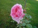 Abraham Darby